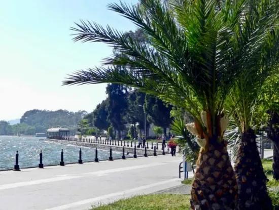 Köyceğiz Photos