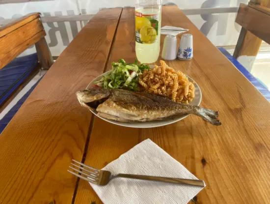 Köyceğiz Aktiviteleri